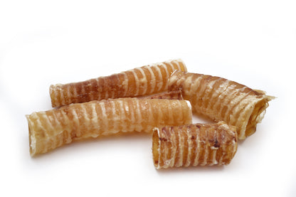 Trachea di bovino
