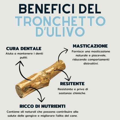 Tronchetto d'ulivo